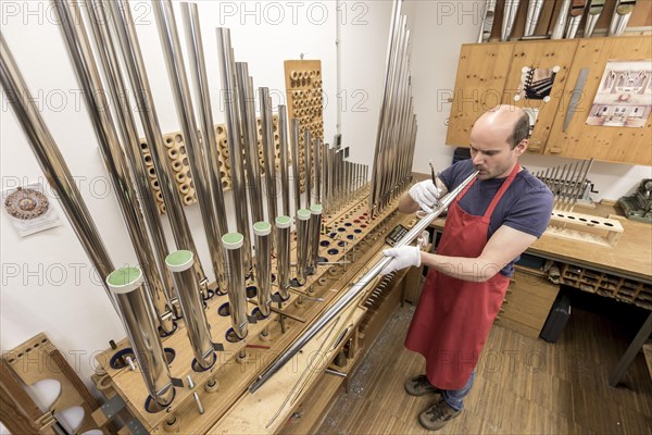 Organ builder