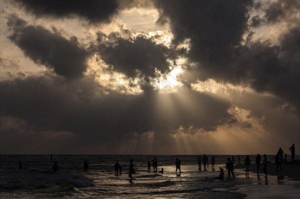 People in backlight on beach