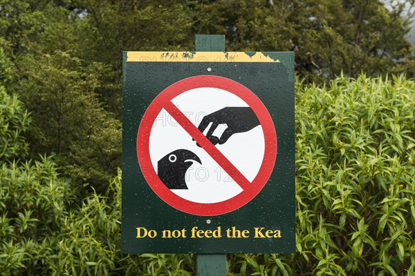 Feeding prohibition sign with inscription Do not feed the Kea