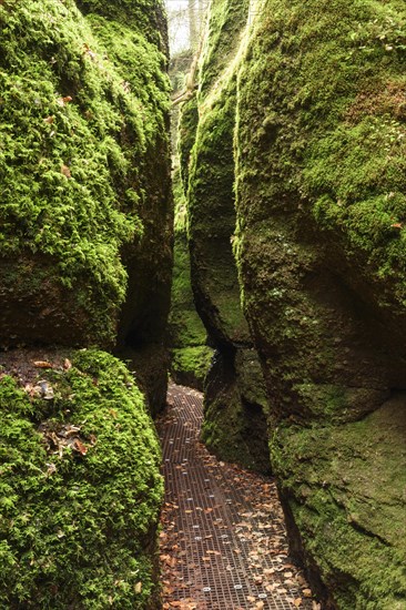 Canyon Drachenschlucht