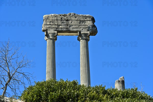 Corinthian columns from Noviodunum Helvetiorum