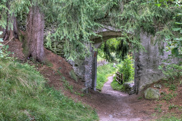Overgrown castle gate
