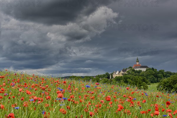 Thunderstorm over monastery Andechs with poppy field and cornflowers