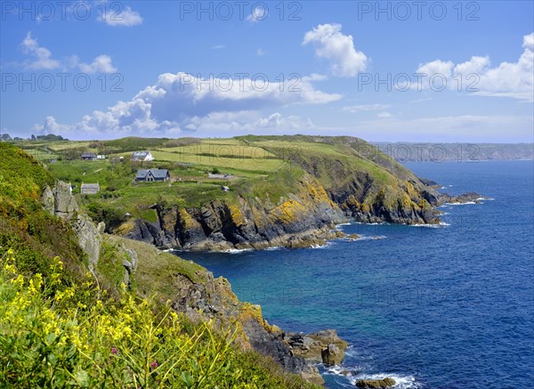 Cadgwith