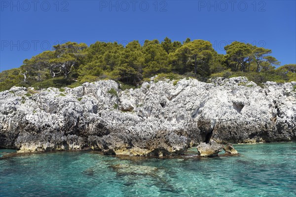 Tremiti Island San Domino
