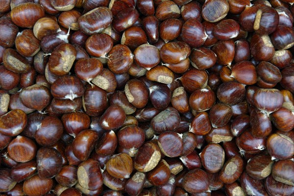 Chestnuts