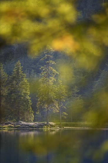 Grosser Arbersee