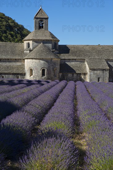 Romanesque Cistercian Abbey Notre Dame of Senanque