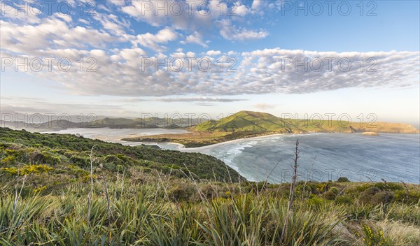 View of beach and sea