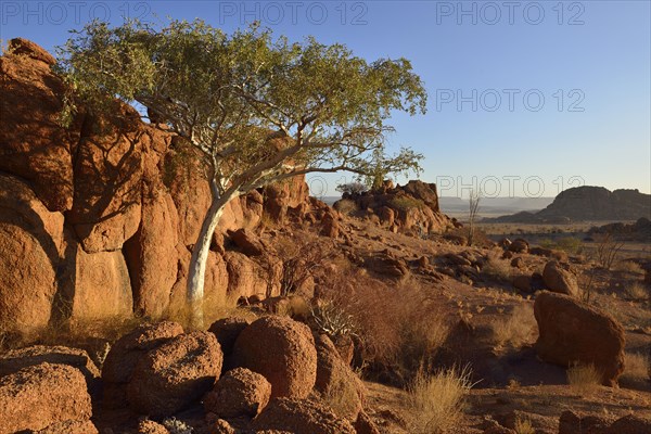 Granite landscape