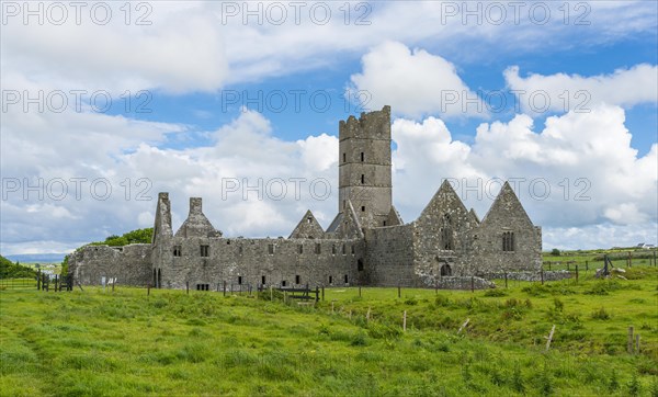 Monastery Moyne Abbey