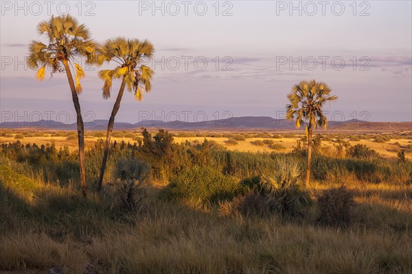 Damaraland