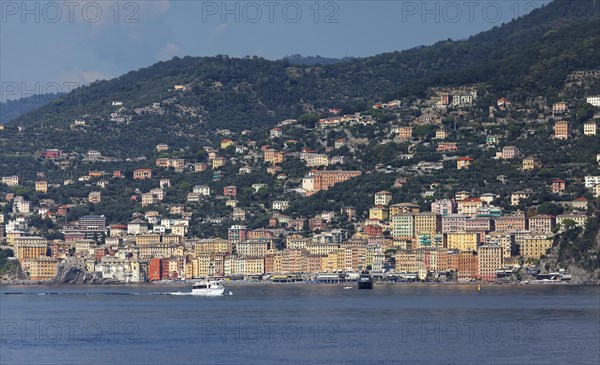 View to Camogli