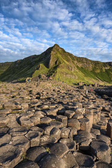 Basalt columns by the coast at sunset