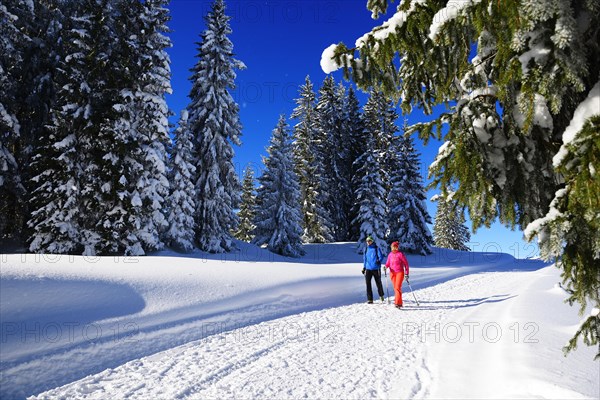 Hikers on Germany's first premium winter hiking trail