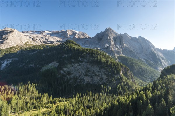 View of the forest and mountains