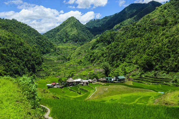 Bangaan in the rice terraces of Banaue