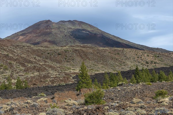 El Teide volcano