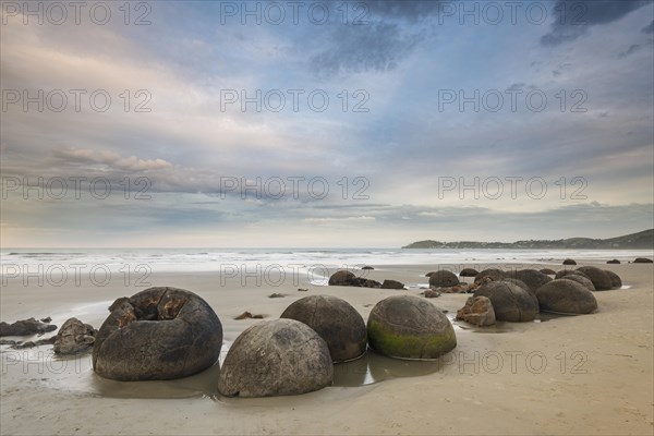 Moeraki Boulders on the beach