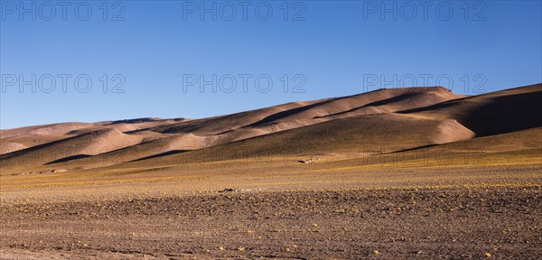 Andean Plain