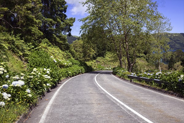 Street in the volcanic crater Sete Cidades