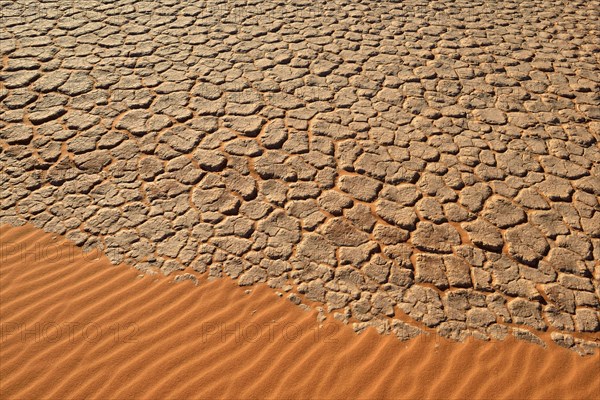 Cracked mud patterns on the playa