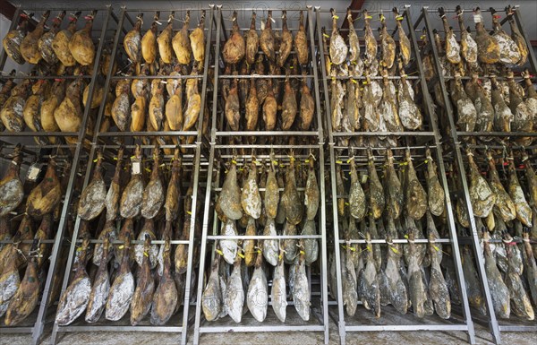 Ham of Black Iberian Pig in a curing factory