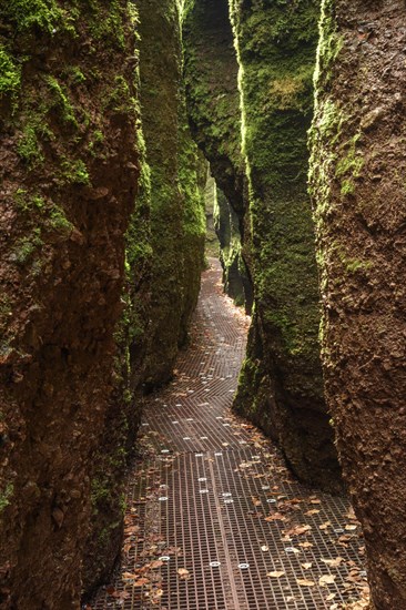 Canyon Drachenschlucht