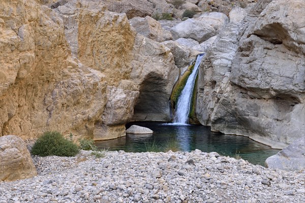 Water pools of oasis Wadi Bani Khalid