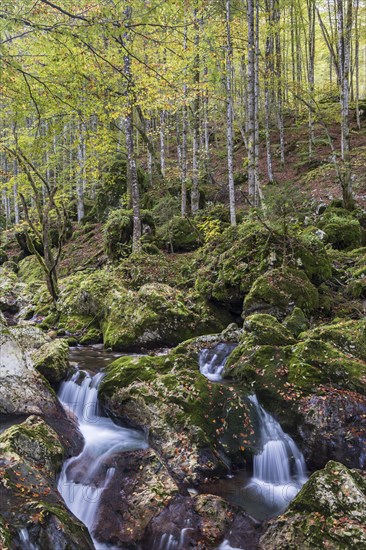 Watercourse of the autumnal Lepenjica