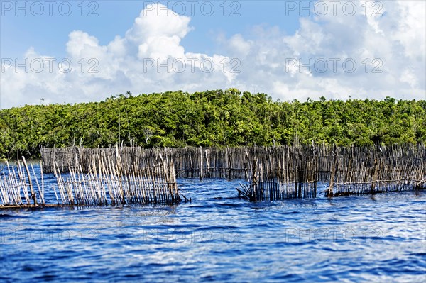 Fish traps in the Canal des Pangalanes