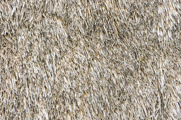 Weathered thatched roof