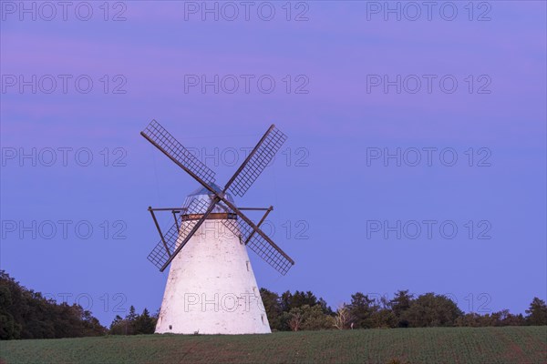 Dutch windmill in evening light