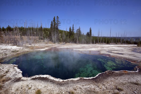 Abyss Pool