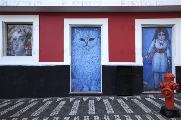 Wall of the house painted with various pictures