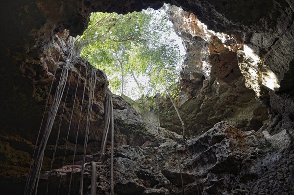 Exit of the Loltun Cave