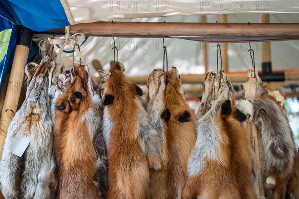 Fox furs at a stall