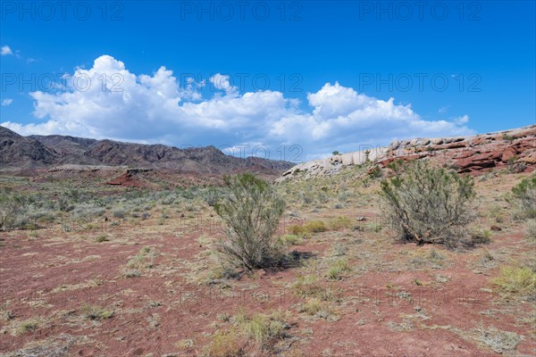 Aktau Mountains