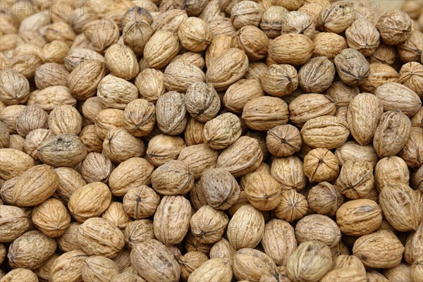 Persian walnuts