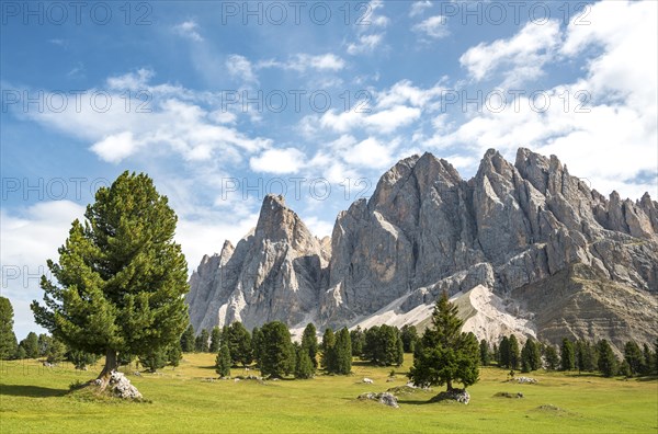 Mountain meadow near Gschnagenhardt Alm