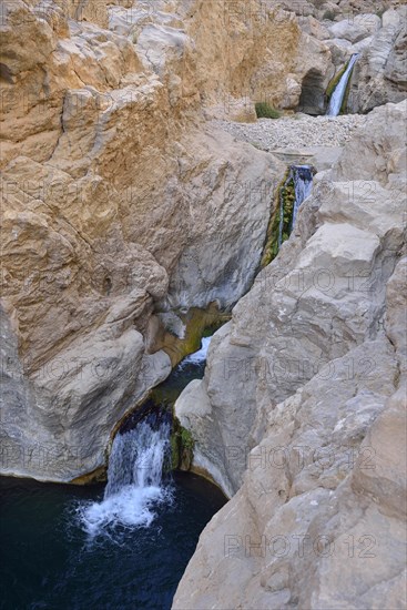 Water pools of oasis Wadi Bani Khalid