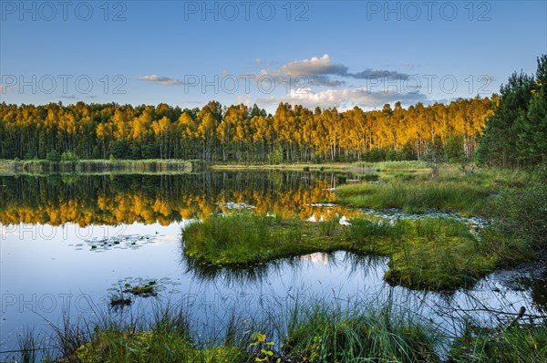 Lake with reflection in evening light