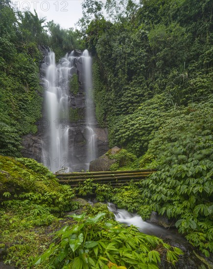 Munduk waterfall in jungle