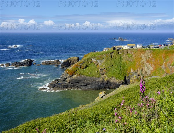 Lizard Point