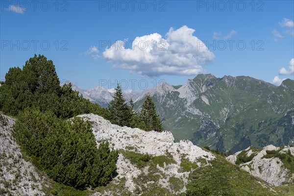 Gipslocher Nature Reserve