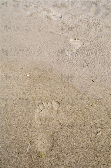 Foot prints in sand