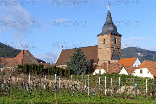 View of Burrweiler