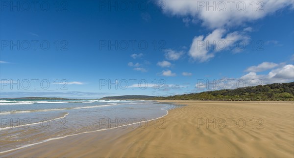 Sandy beach Tautuku Bay