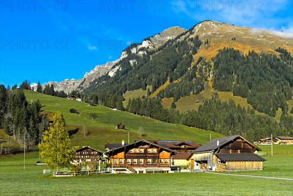 Farmhouses in Saanenland