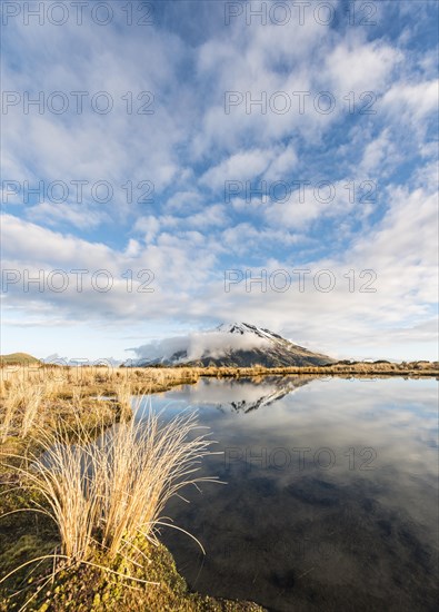 Reflection in Puakai Tarn